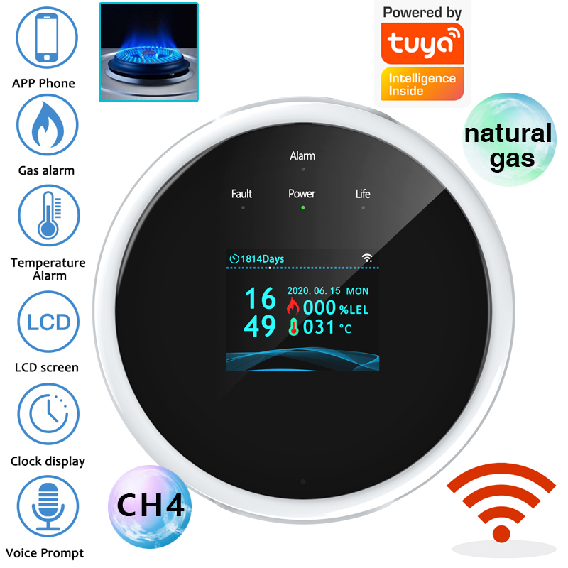 2.4G WiFi Gas Alarm Sensor Com - Home Security Monitor 评论和价格