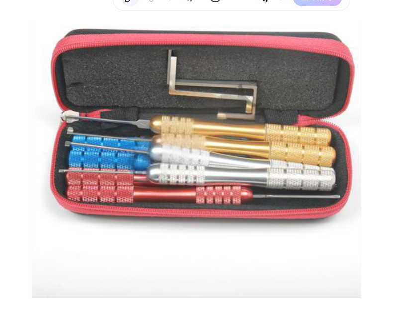 Professional Lock Pick Kit tra - Lock Picking Set 评论和价格