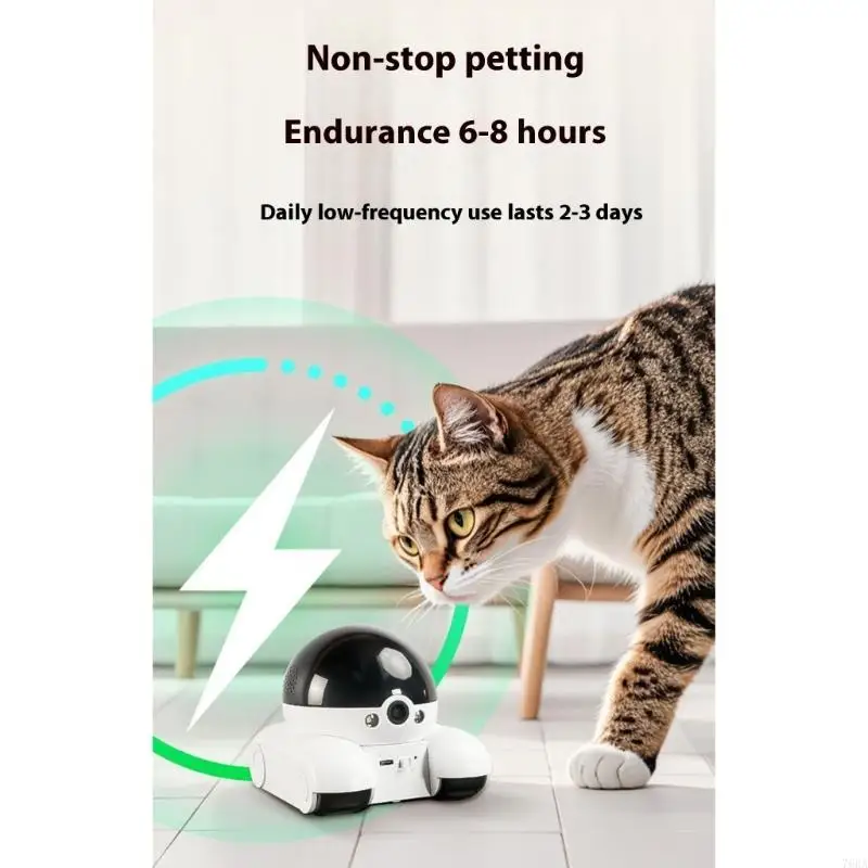 360 Degree Rotating Pet Camera - Home Security Training 评论和价格